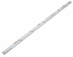 LiC20-562