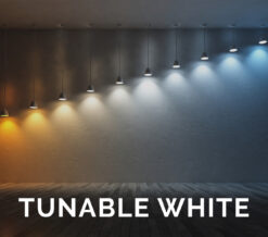 Tunable White