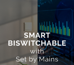 Smart BiSwitchable
